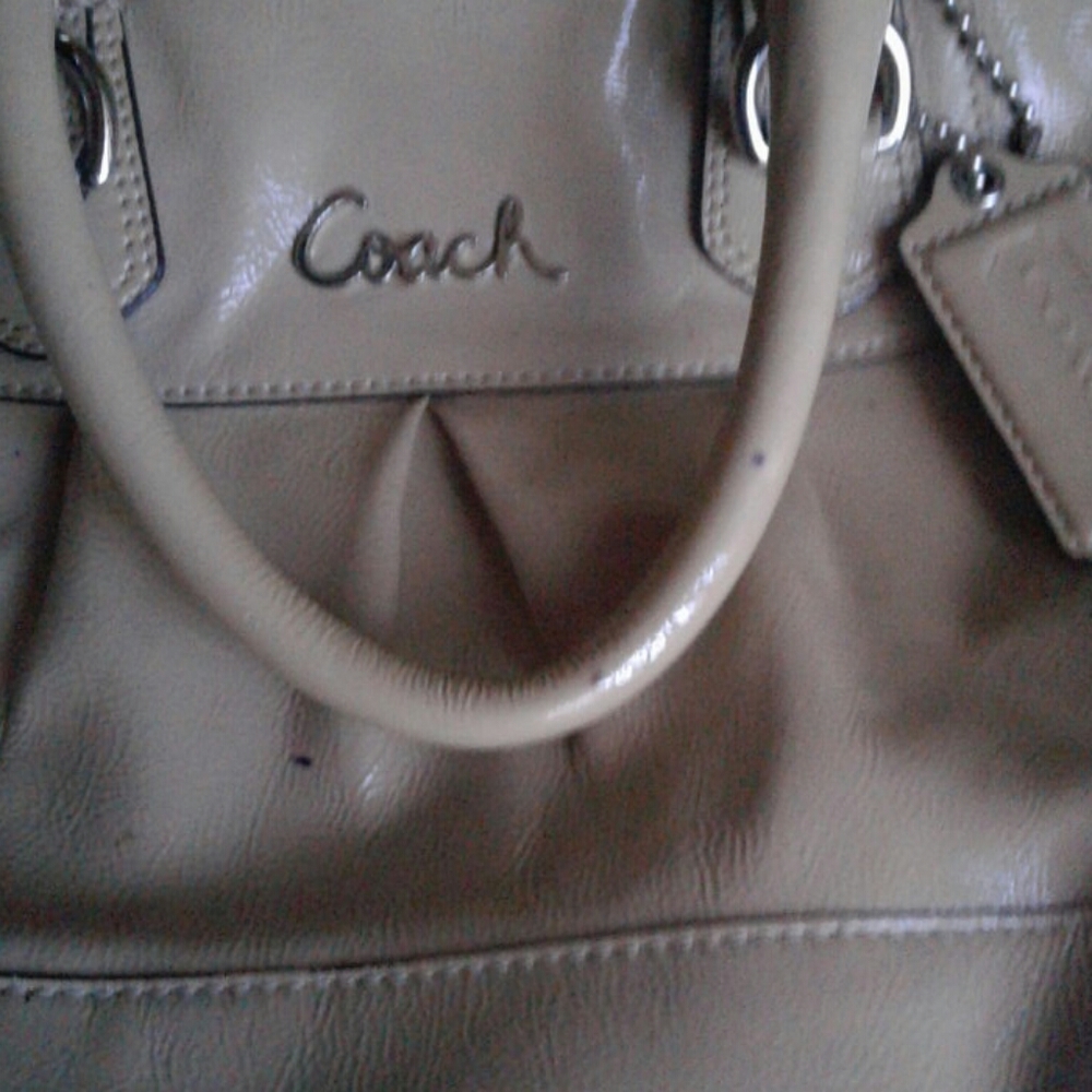 Coach - Picture 6 of 8